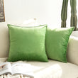 Load image into Gallery viewer, SWANCOCO Velvet Throw Pillow Covers Square Cushion Covers 2 Pack