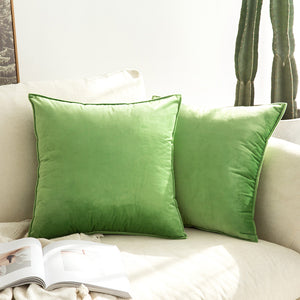 SWANCOCO Velvet Throw Pillow Covers Square Cushion Covers 2 Pack